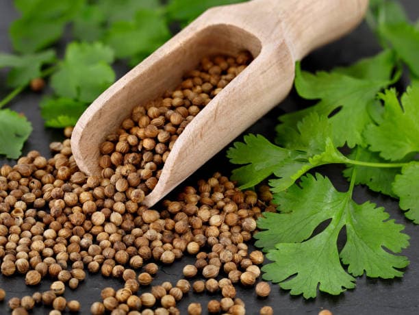 قیمت تخم گشنیز